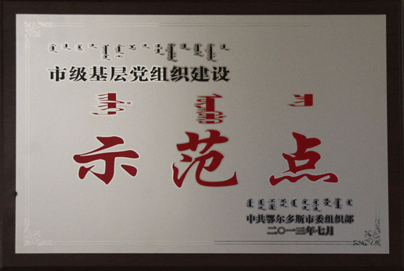 2013鄂市黨組織建設(shè)示范點(diǎn)